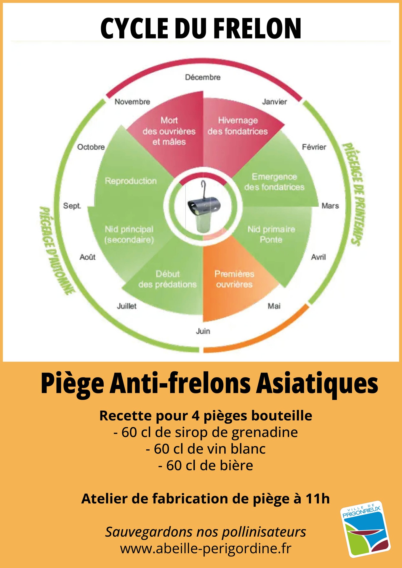 Conférence & Atelier : lutter contre le frelon asiatique  piege frelon et cycle