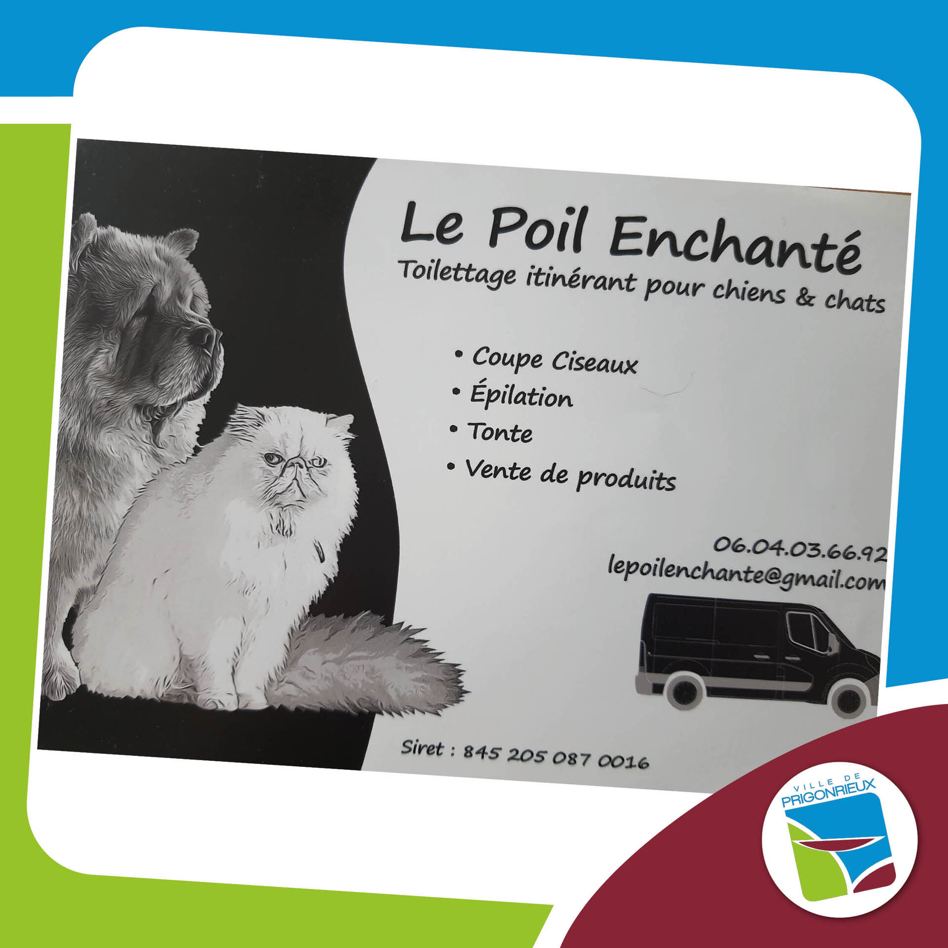Le poil enchanté