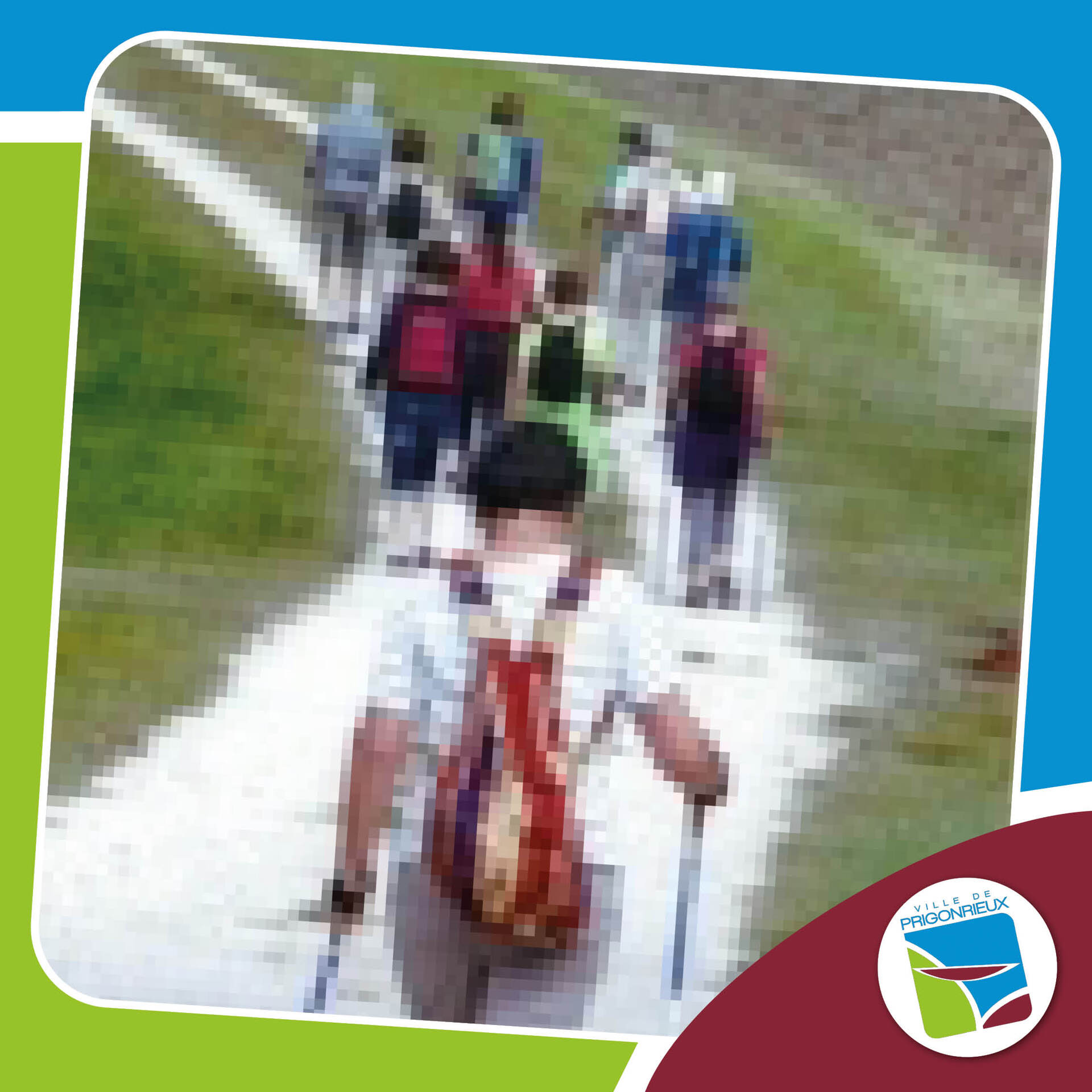 Nordic Walking Pourpre