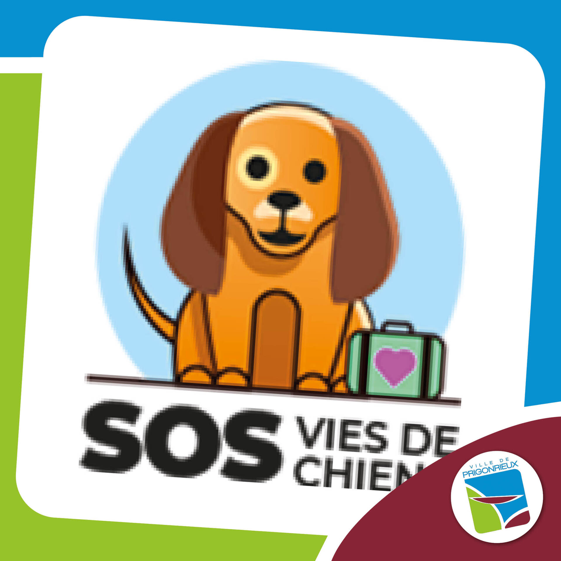Association SOS Vies de chiens
