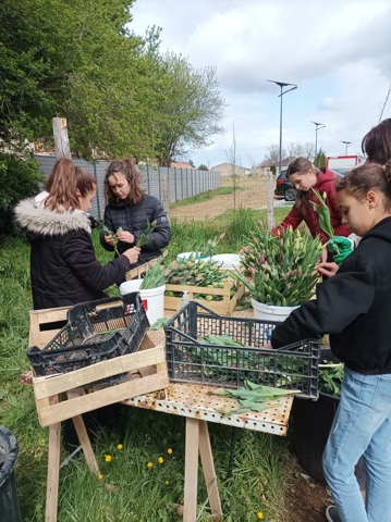 2022 - Opération Tulipes du CMEJ